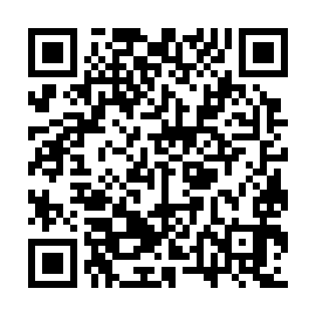 QR code for STG393