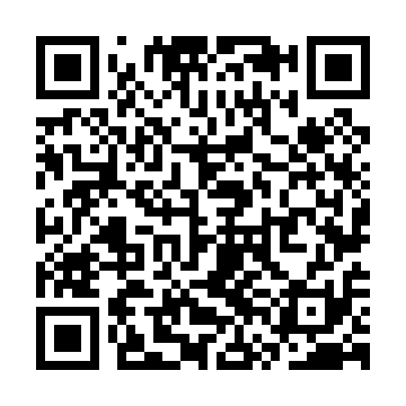 QR code for SVN011