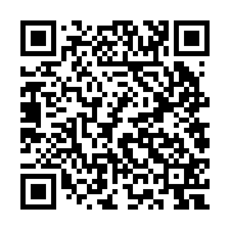 QR code for SWF221
