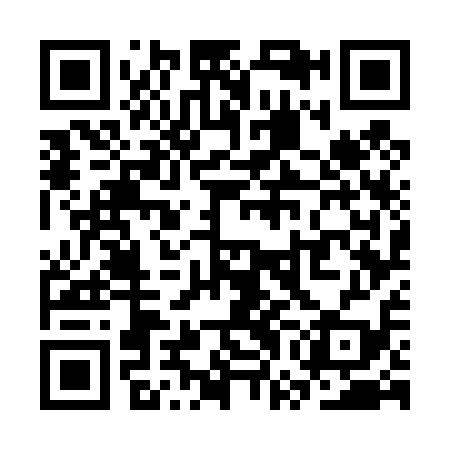 QR code for SWG419
