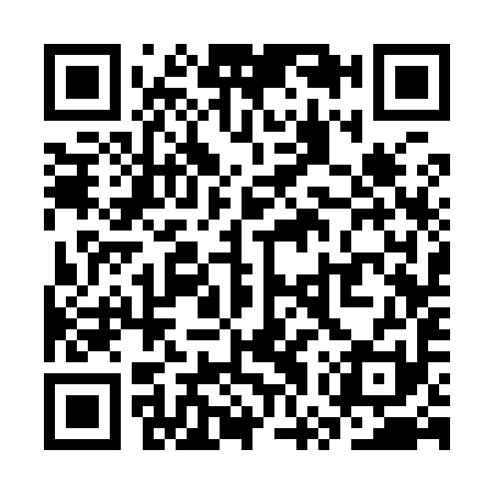 QR code for SWS991