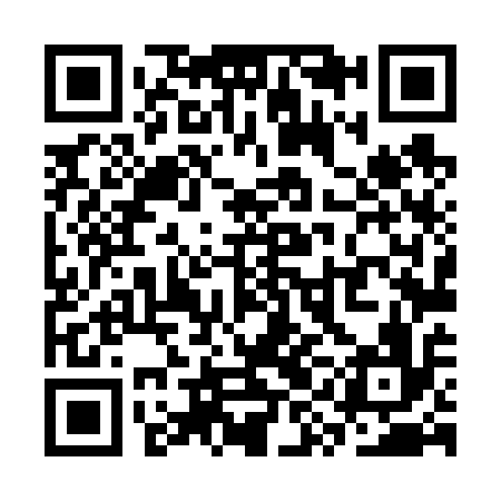 QR code for SYL616