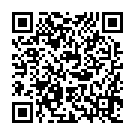 QR code for SYZ294