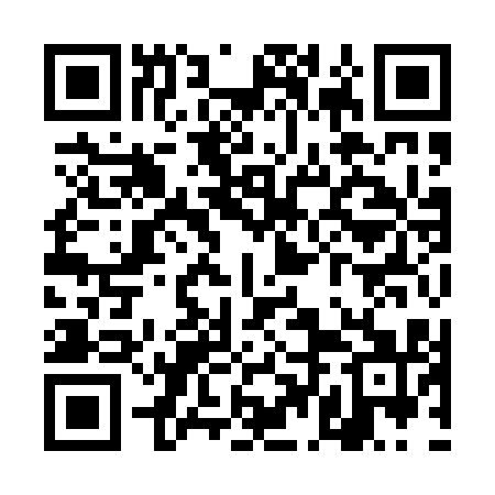 QR code for TDI011