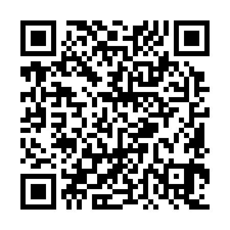 QR code for TDM381