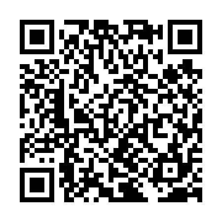 QR code for TIE614