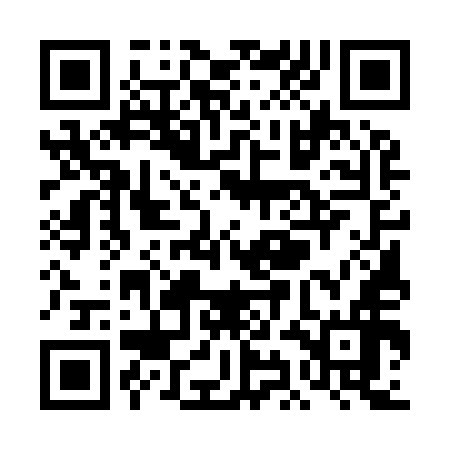 QR code for TIE956