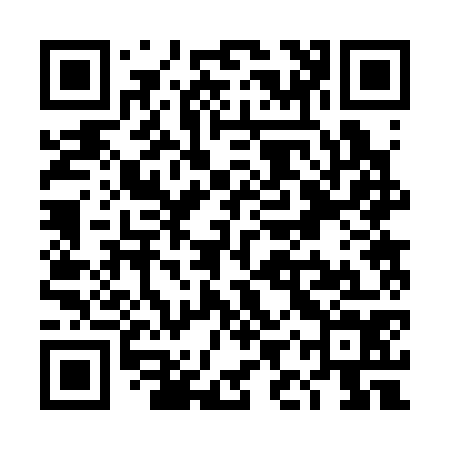 QR code for TIR374