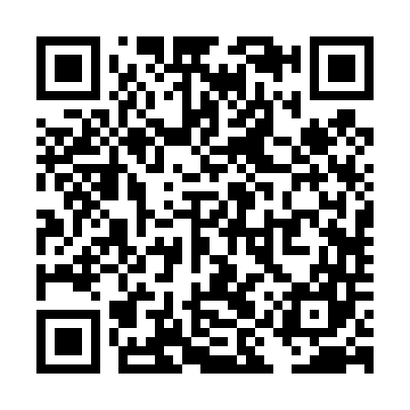 QR code for TIR447