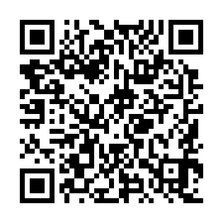 QR code for TIY391