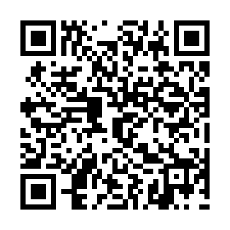 QR code for TIZ208