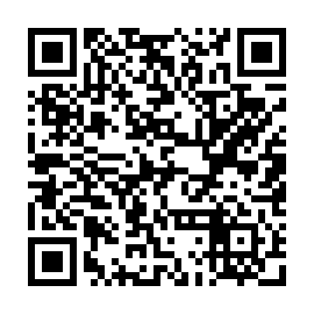QR code for TLE441