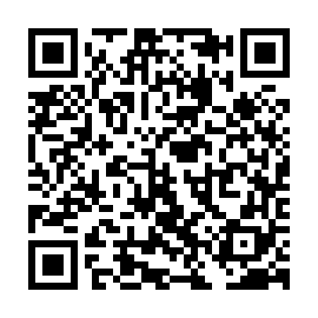 QR code for TNS868