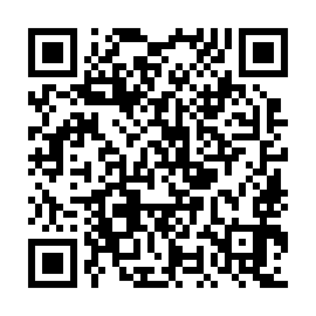QR code for TOO293