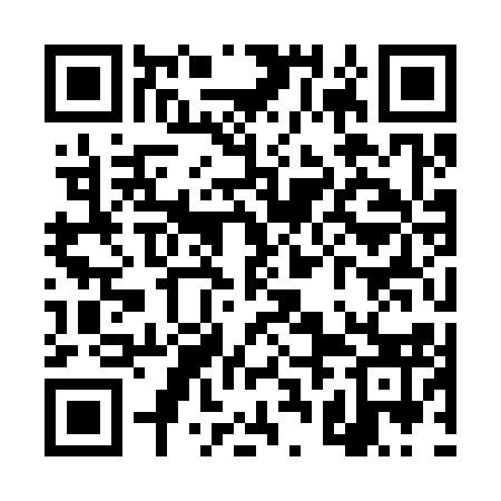 QR code for TRK313