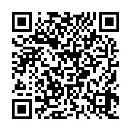 QR code for TSI938