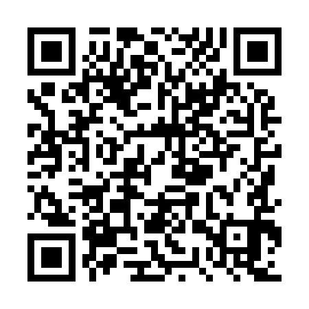 QR code for TSX991