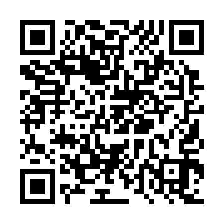 QR code for TTA313