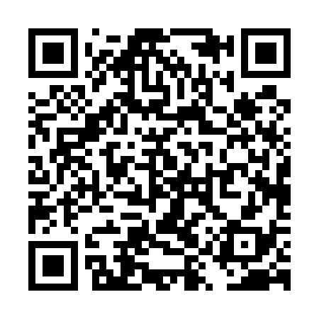 QR code for TYP538