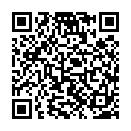 QR code for TZH533