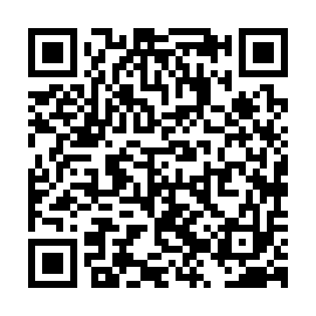 QR code for TZX313