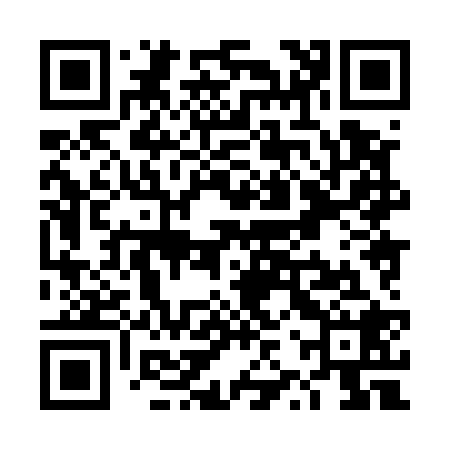 QR code for TZX528