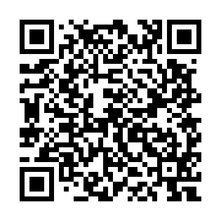 QR code for UDG595
