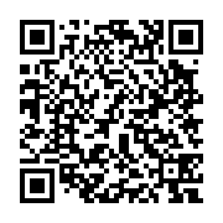 QR code for UDU038