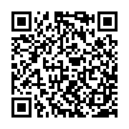 QR code for UKT383