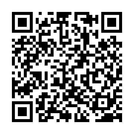 QR code for VDG211
