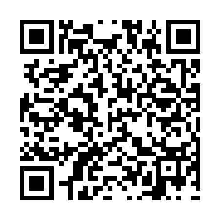 QR code for VDU333