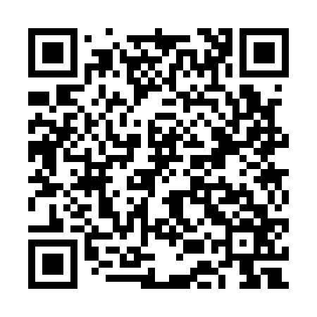 QR code for VES166