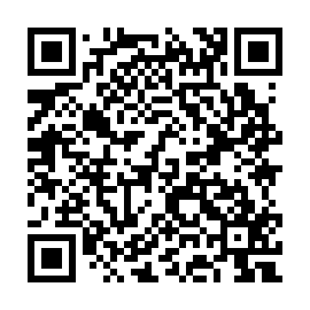 QR code for VGI317