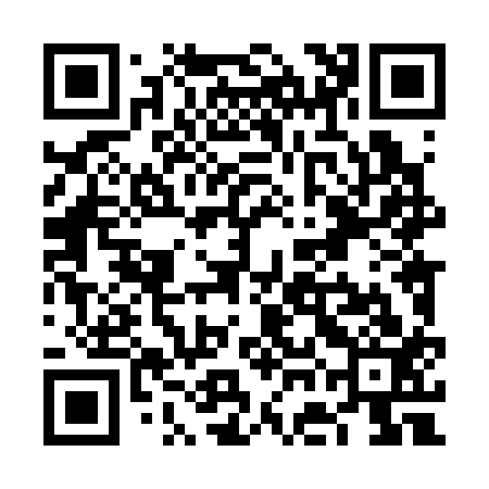 QR code for VGL313