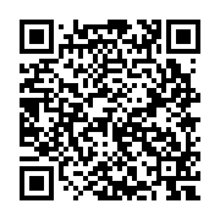 QR code for VHQ393