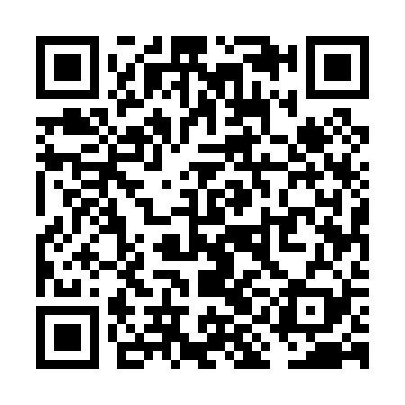 QR code for VIE029