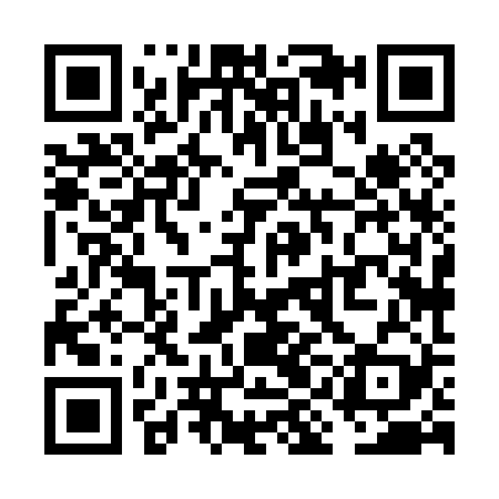 QR code for VIH029