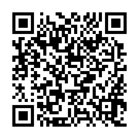 QR code for VIN396