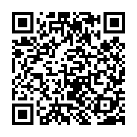 QR code for VIN409