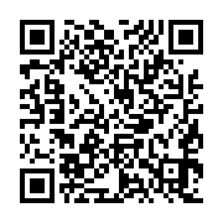 QR code for VIS451