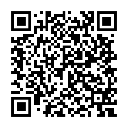 QR code for VIS594