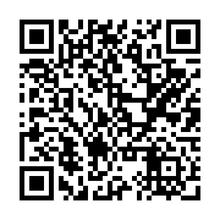 QR code for VIV441