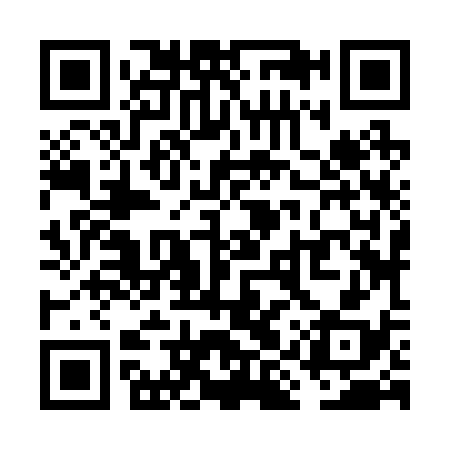 QR code for VIZ238