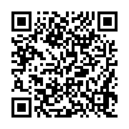 QR code for VIZ576