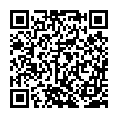 QR code for VIZ653