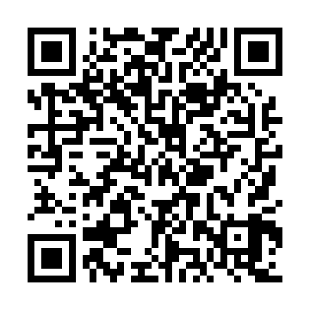 QR code for VJX009