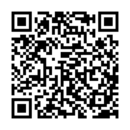 QR code for VLP381