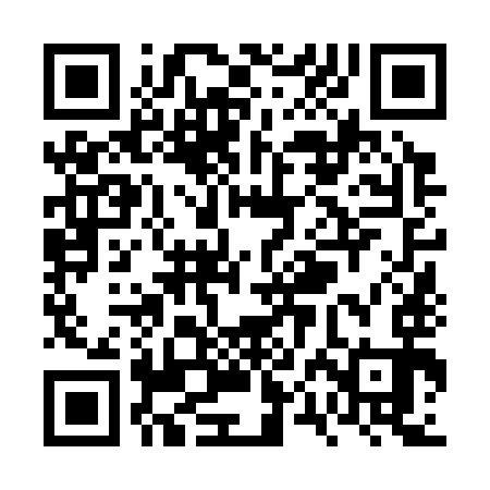 QR code for VPN393