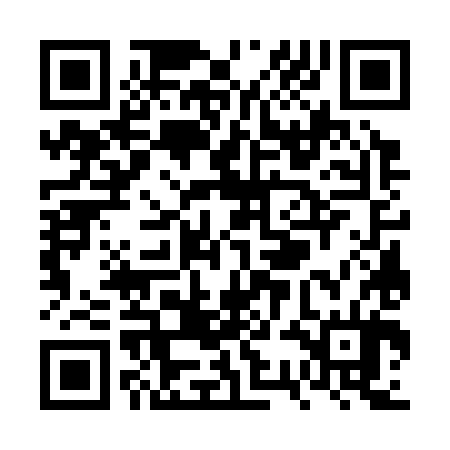 QR code for VSG384