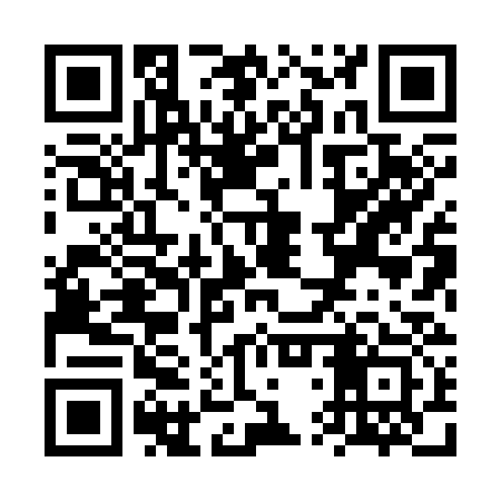 QR code for VTX333